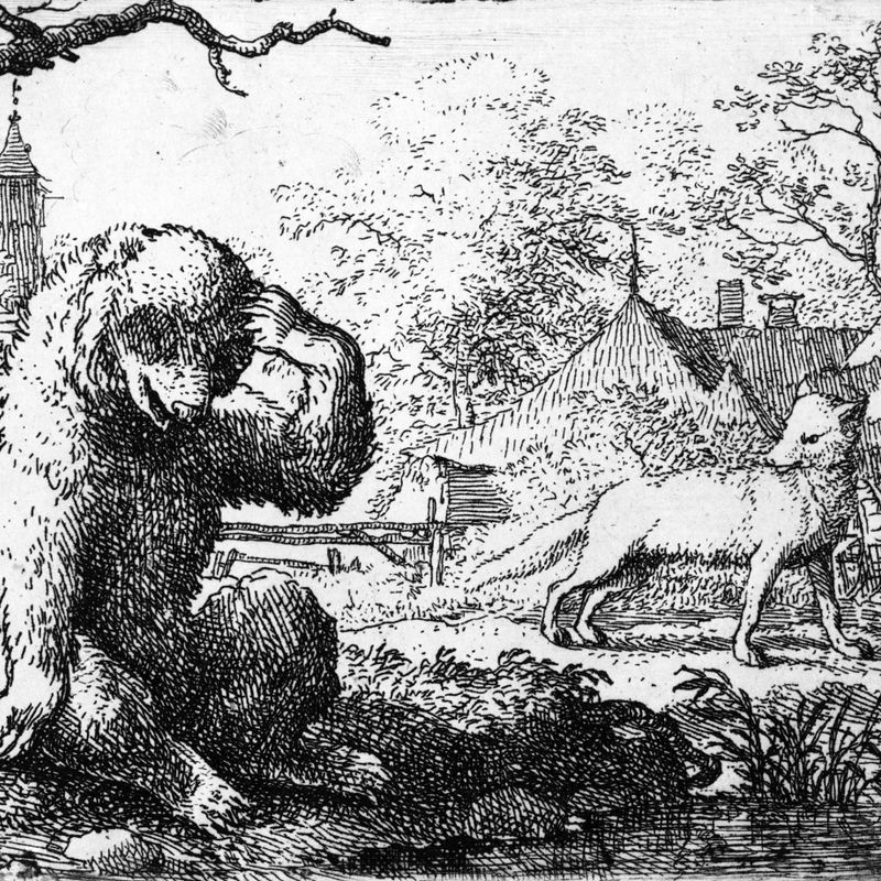 Le Roman de Renard : 12- Le Renard insultant au malheur de l'ours (Bartsch 12)