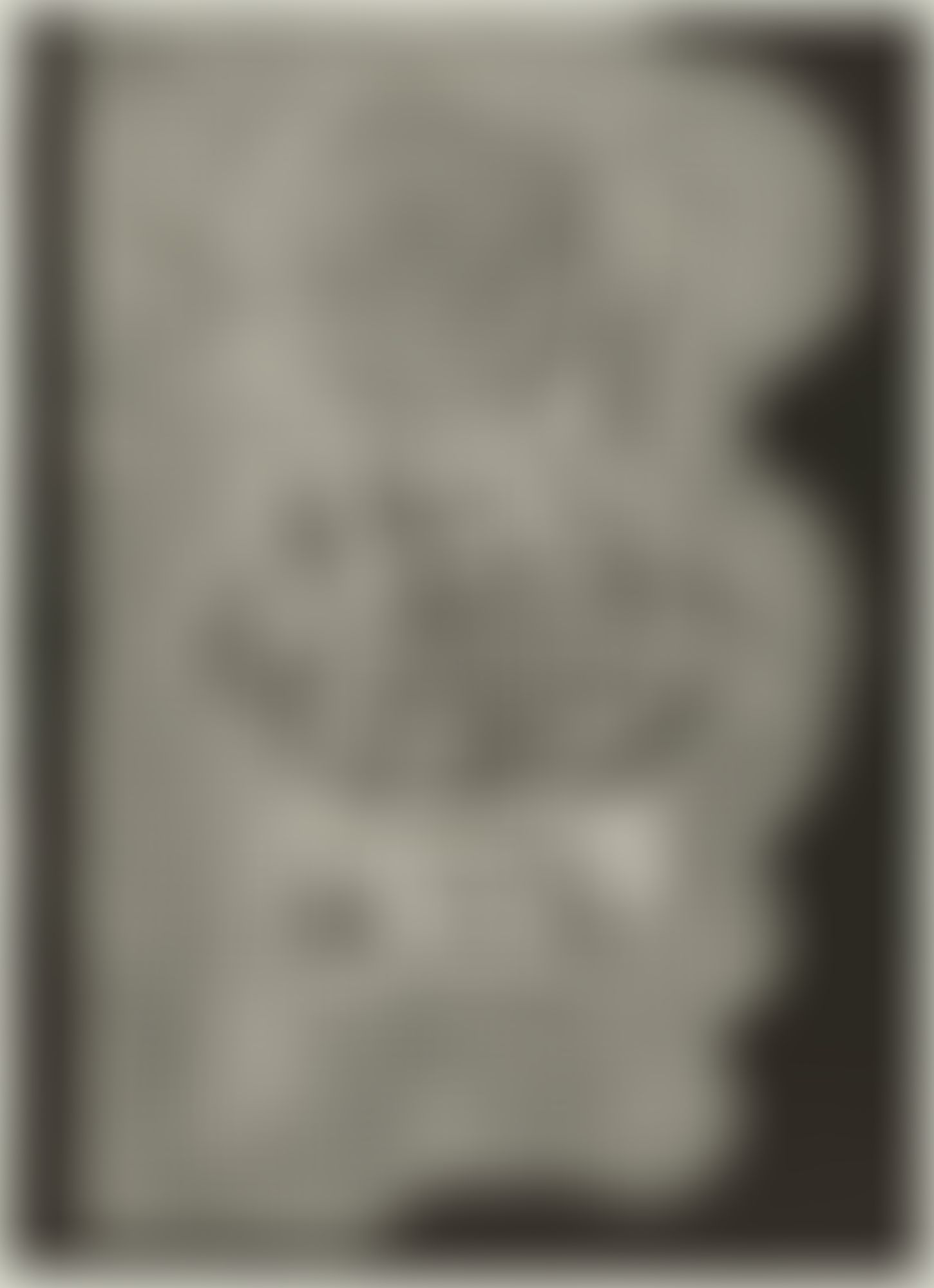 Object Image