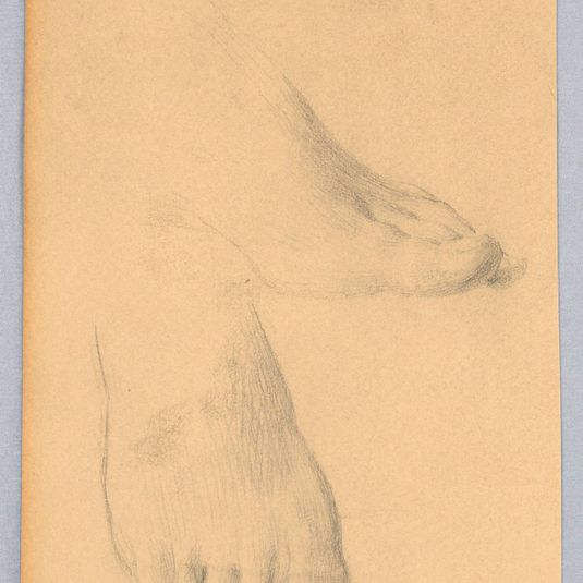 Study of Feet