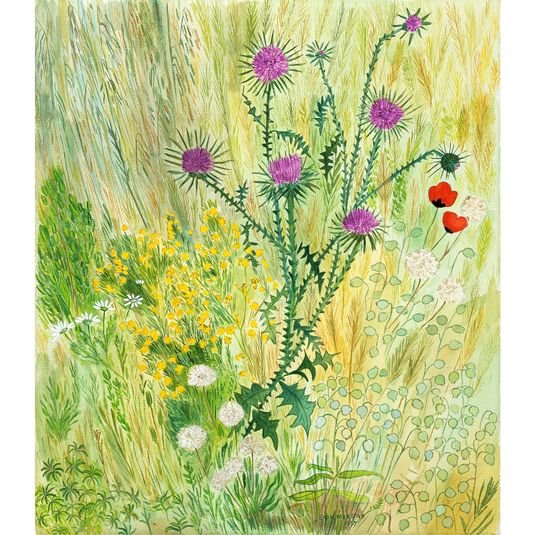 Thistles/ Wild Flowers
