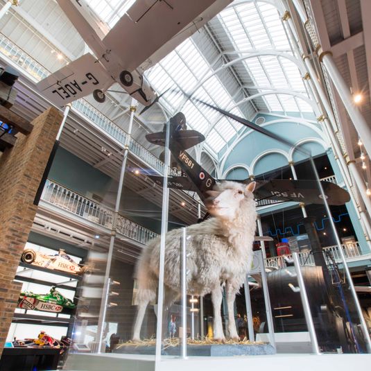 Tour: Highlights of the National Museum of Scotland
