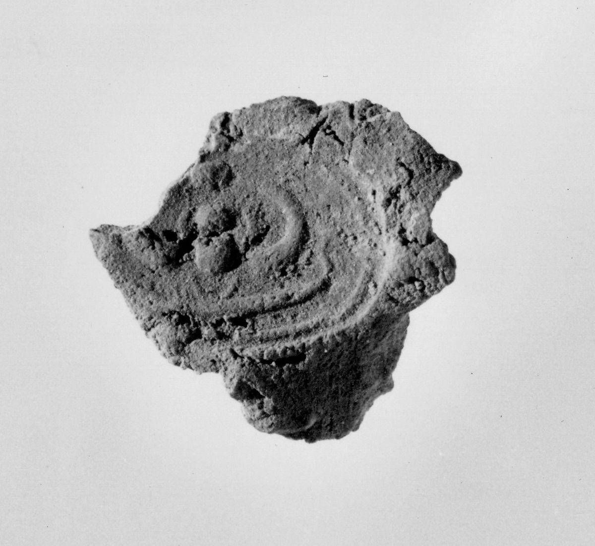 Object Image