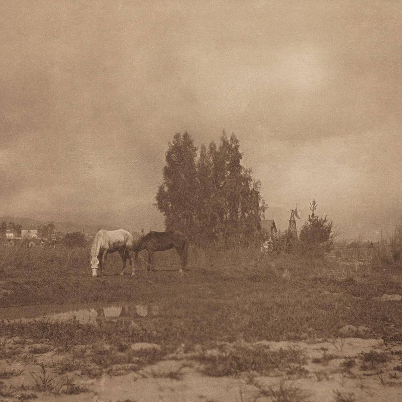 Pasadena Landscape