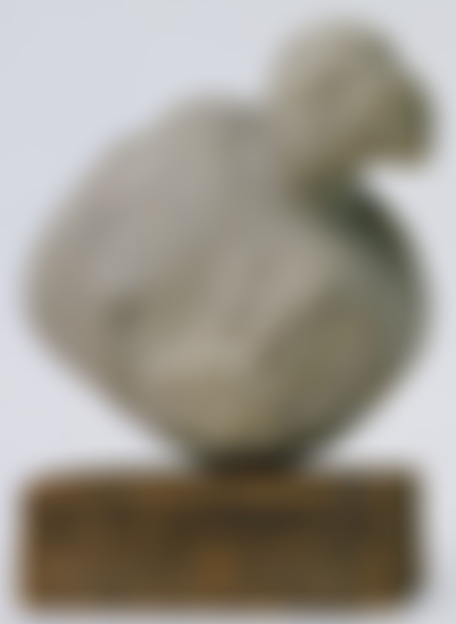 Object Image