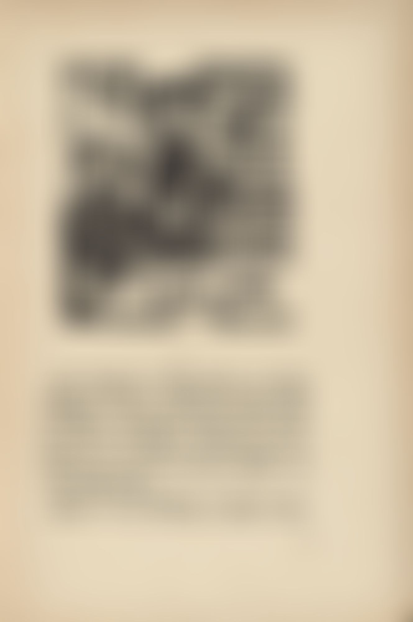 Object Image