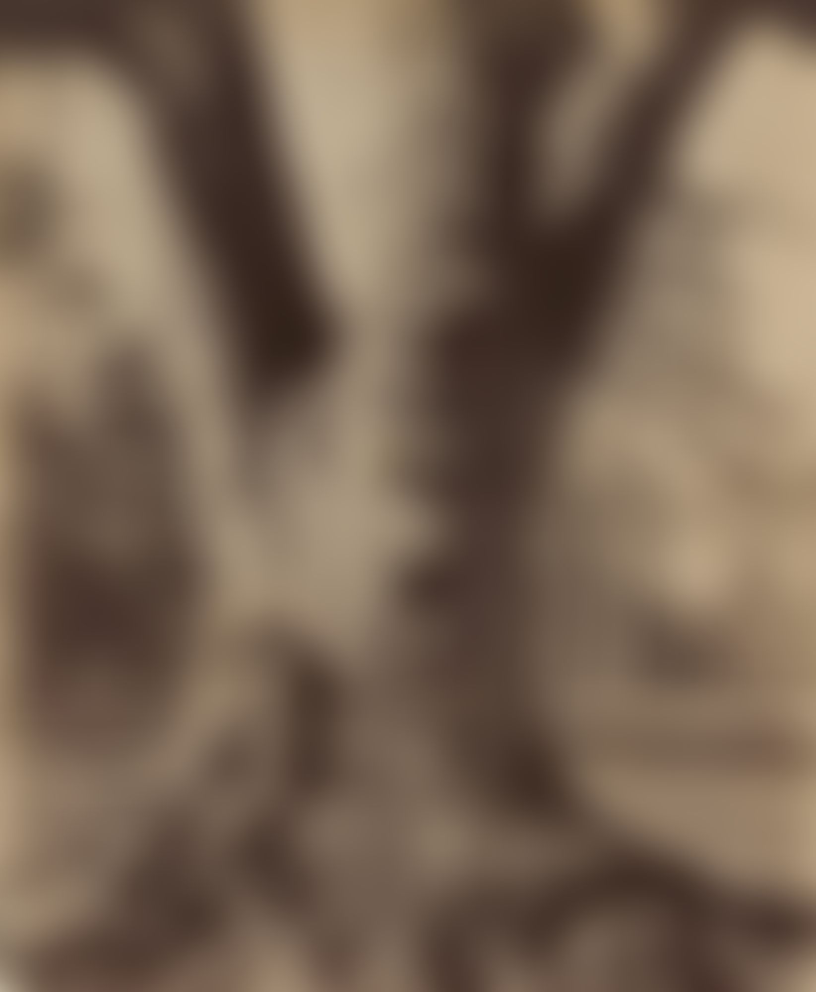 Object Image