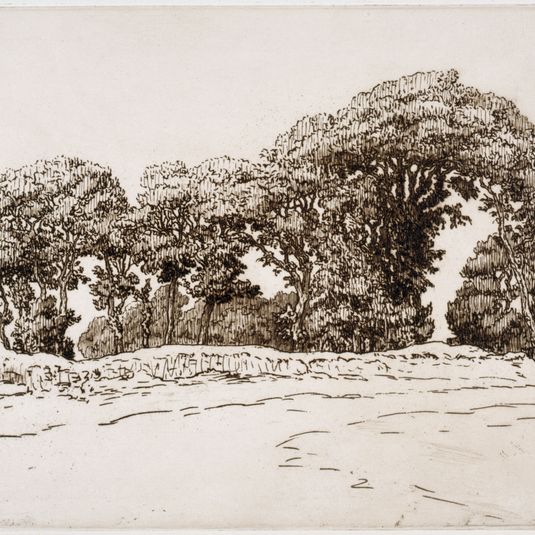 Bouquet d'arbres
