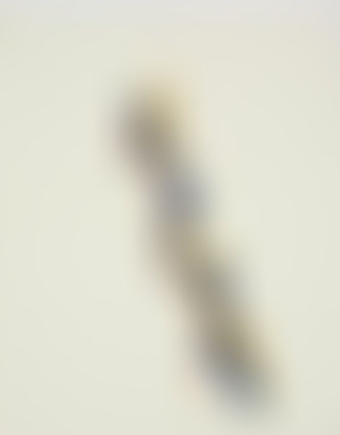 Object Image