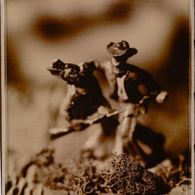 Untitled from the series Wild West (sepia)