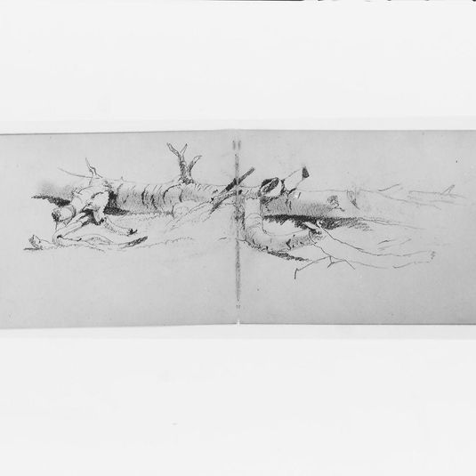 Study of a Fallen Tree (from sketchbook)