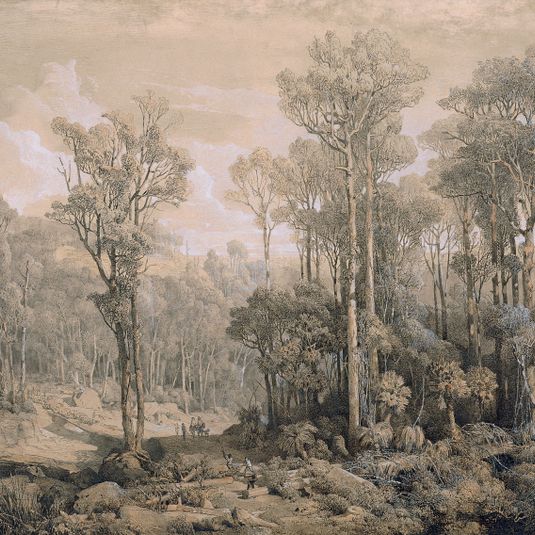 Australischer Wald