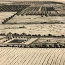 Object Image Thumbnail