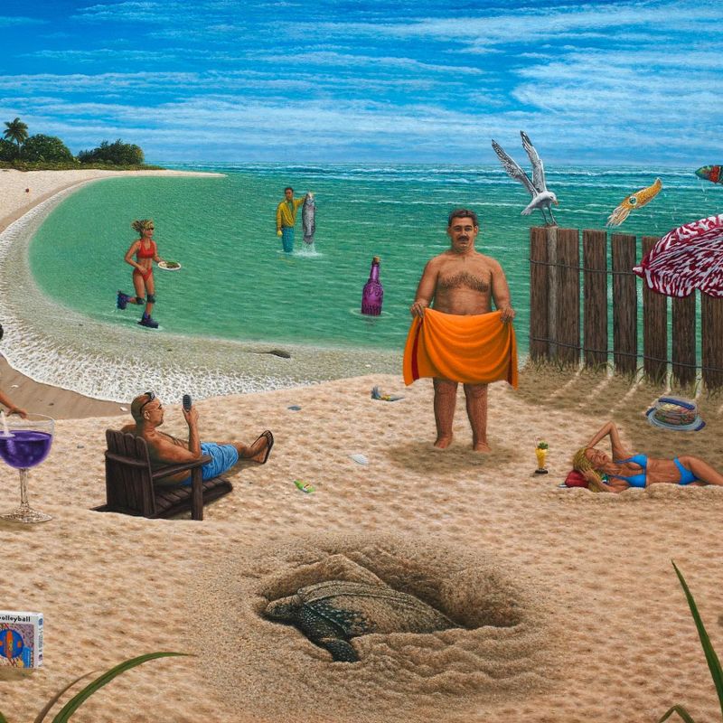 A Day at the Beach