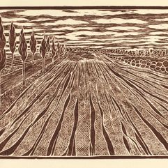 Frank McClure