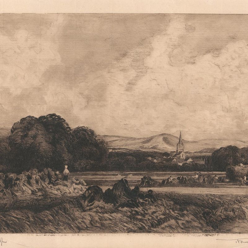 Cornfield Ivinghoe