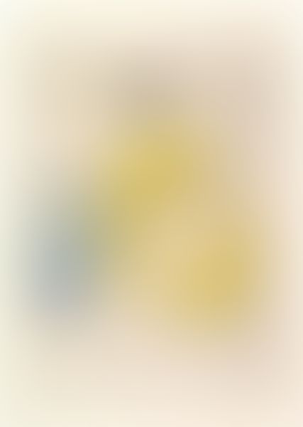 Object Image