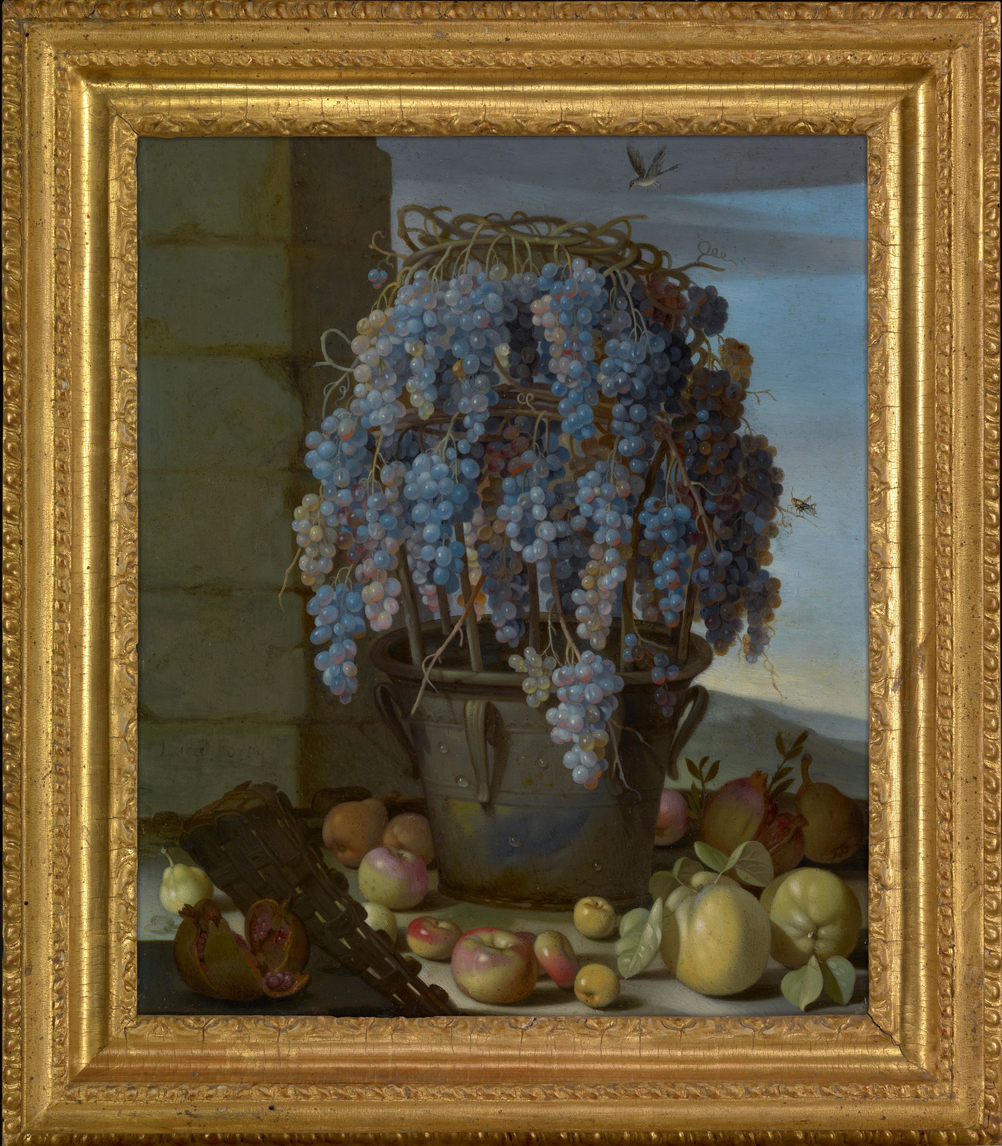 Object Image