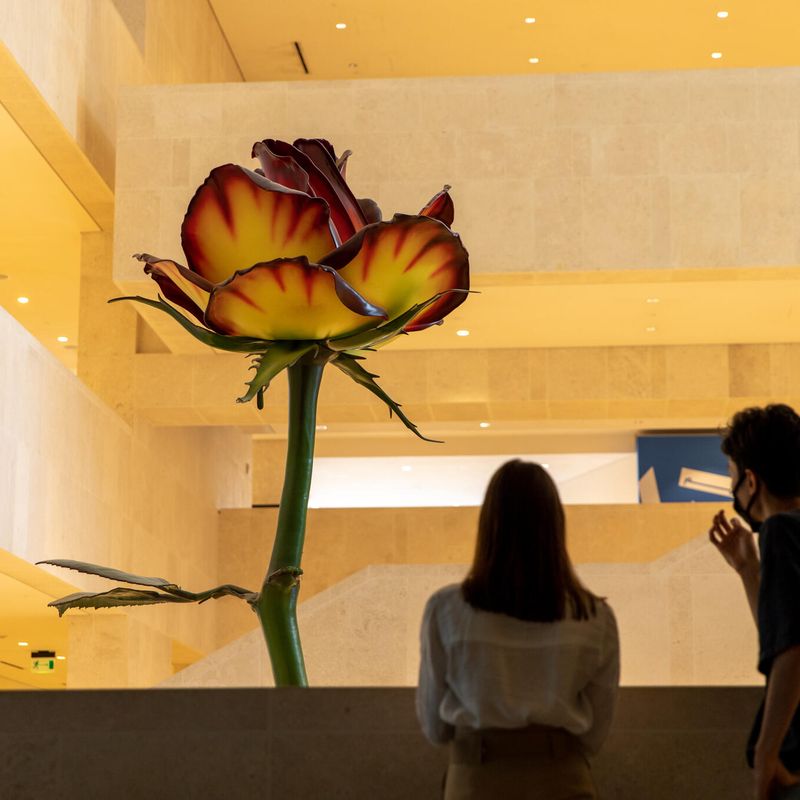 Rose III
