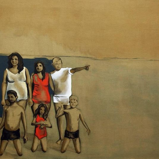 Liseth Amaya, Loss of the soil