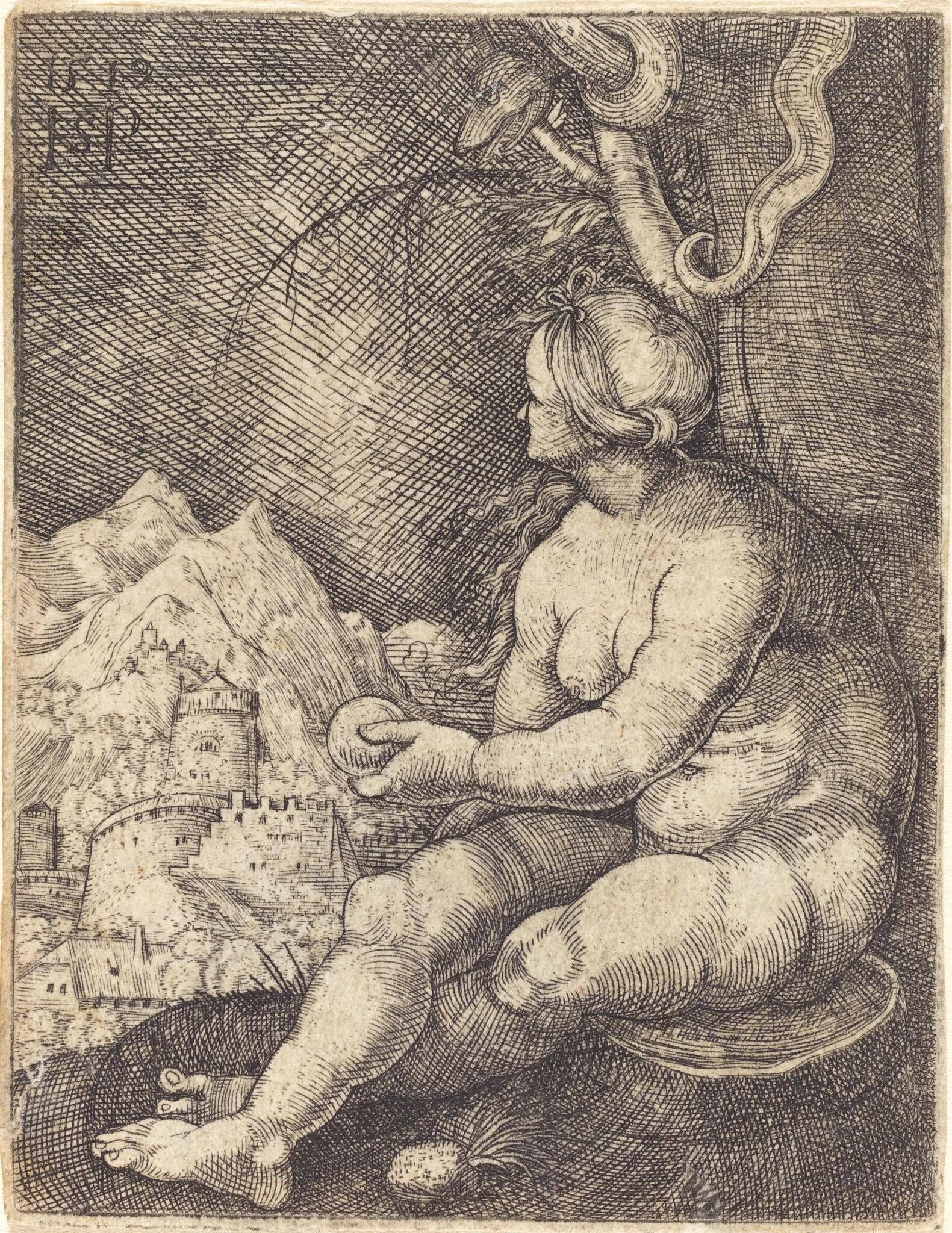 Object Image