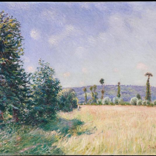 Sahurs Meadows in Morning Sun