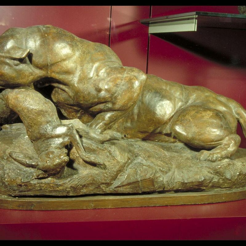 Jaguar devouring a hare