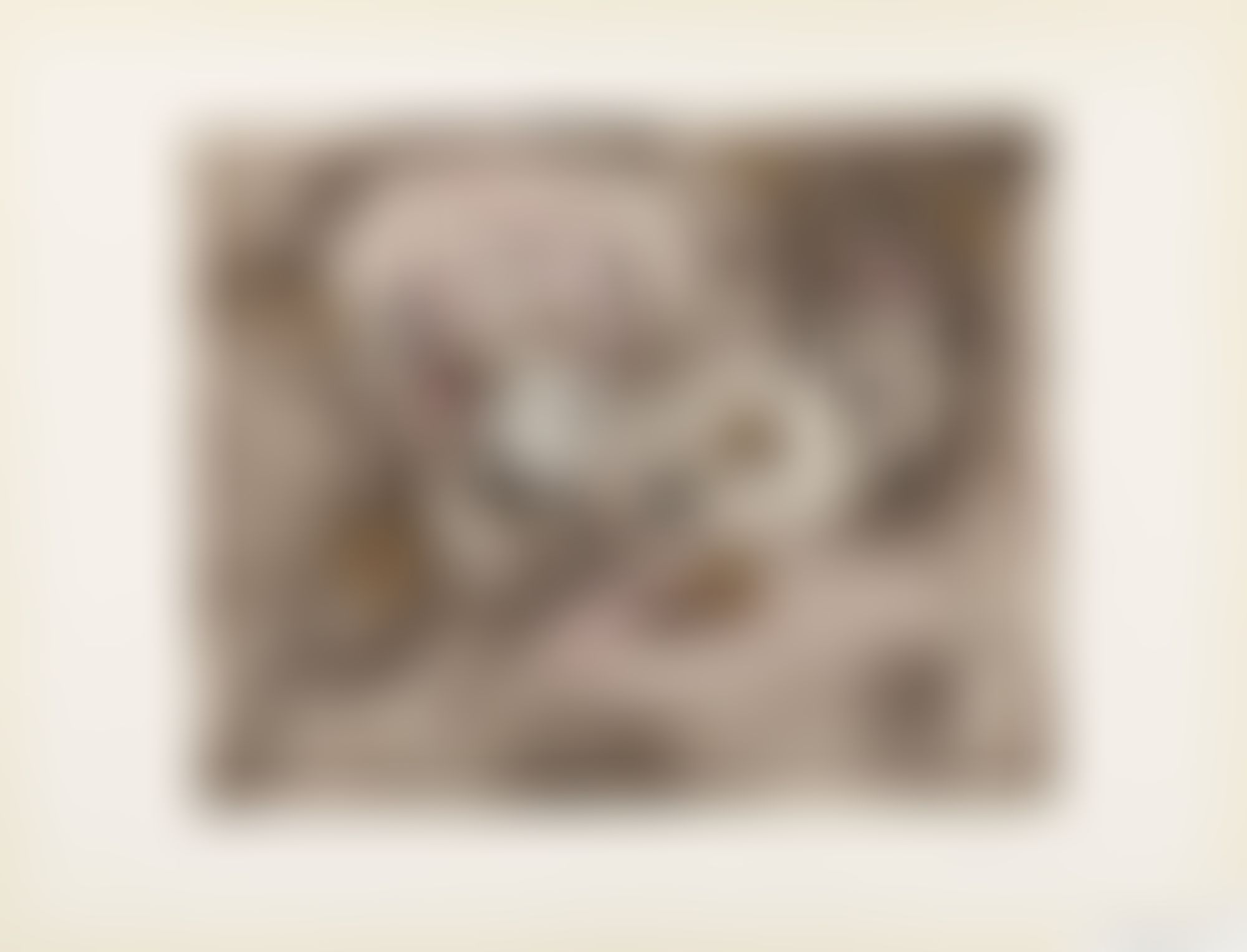 Object Image