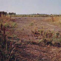 William Eggleston