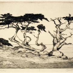 Harold Lukens Doolittle