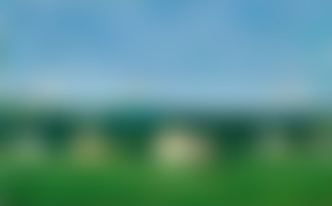 Object Image