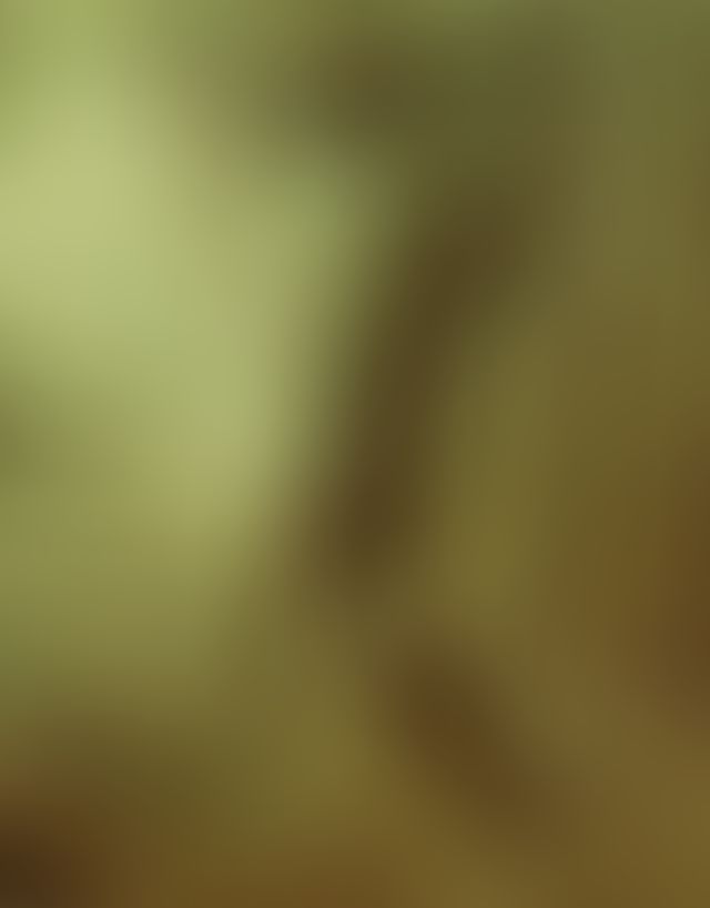 Object Image