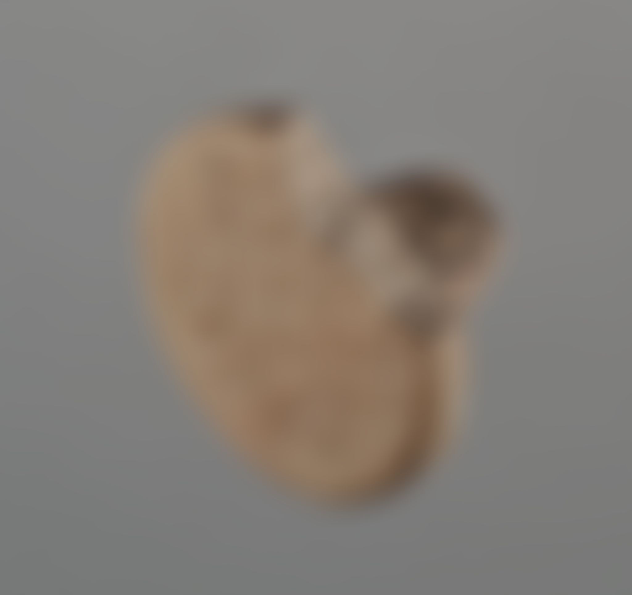 Object Image
