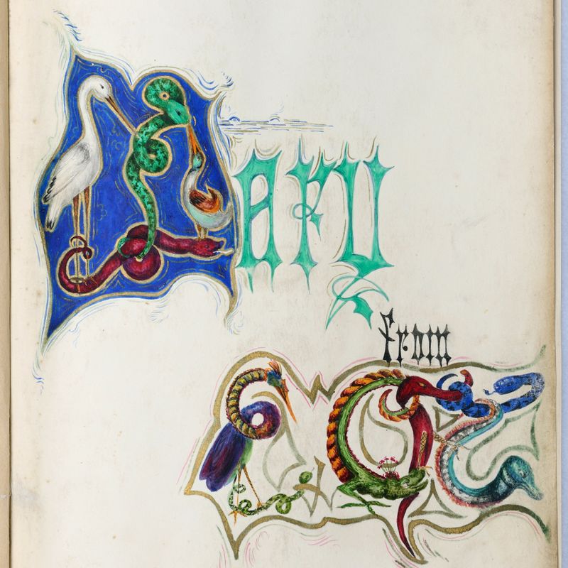 Illustrated Photograph Album