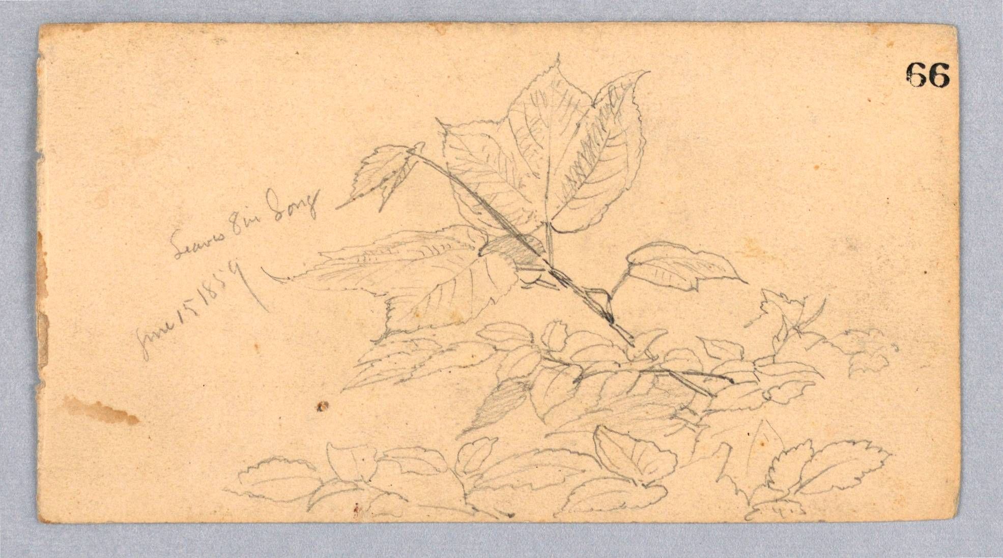 Object Image
