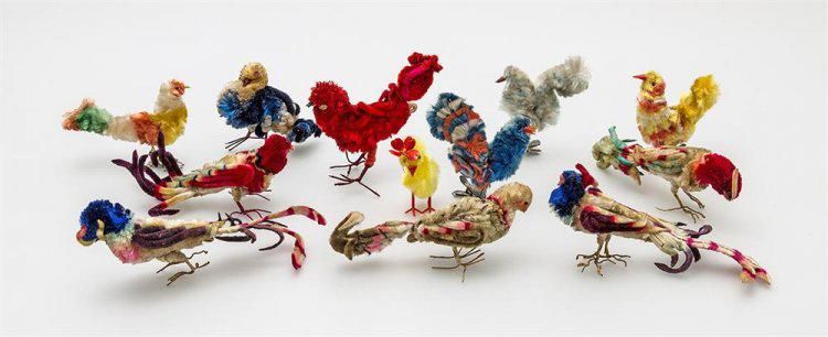 Various Kinds Of Birds