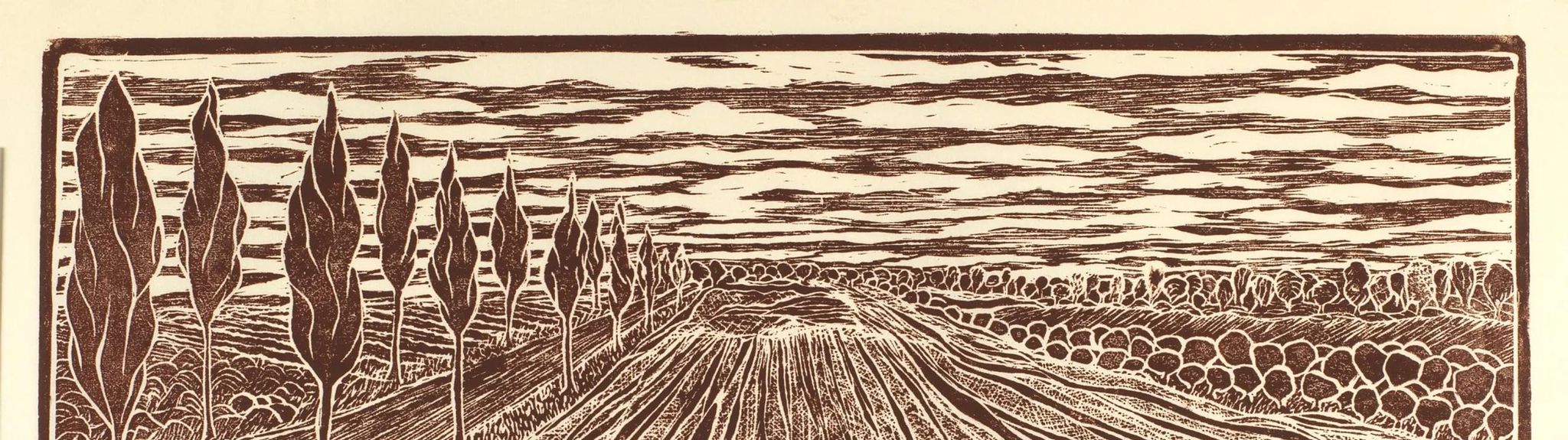 A Far Horizon