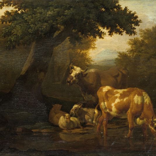 Cattle At The Watering Place