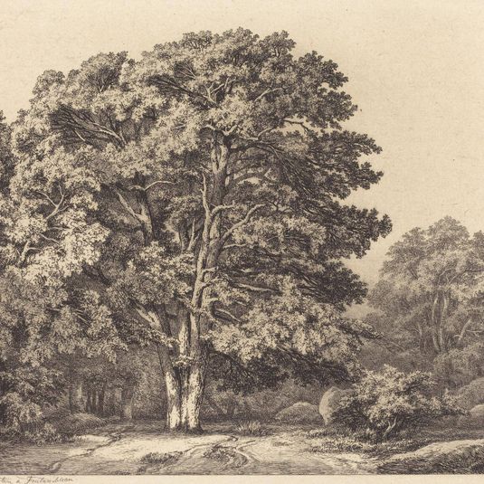 Entrance to a Forest