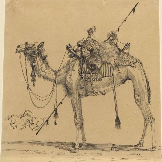 The Camel