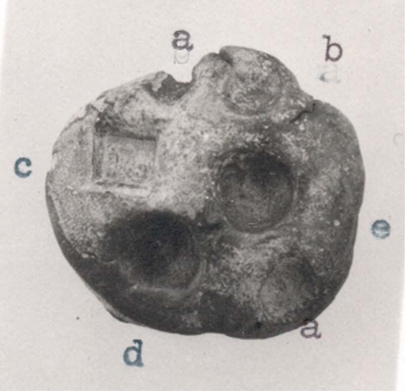 Object Image