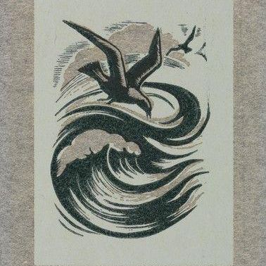 Gull and Wave