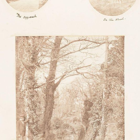 The Approach; In the Wood; By the Lake