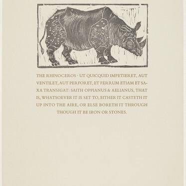 Rhinoceros