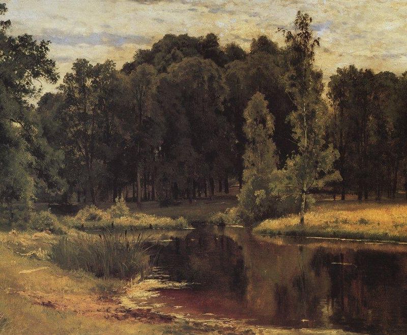 Pond in the old park