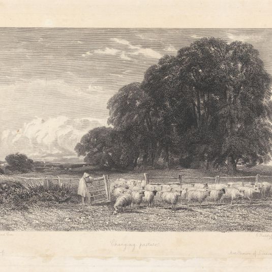 Changing Pasture
