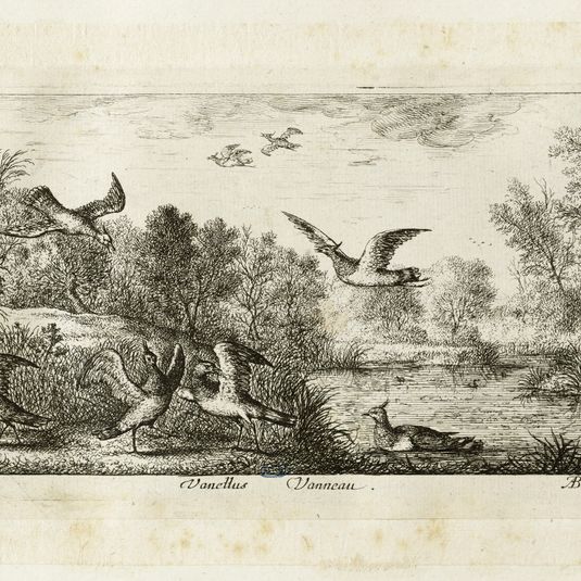 Livre d'oiseaux, Le vanneau (Robert-Dumesnil 403, Bartsch 82)