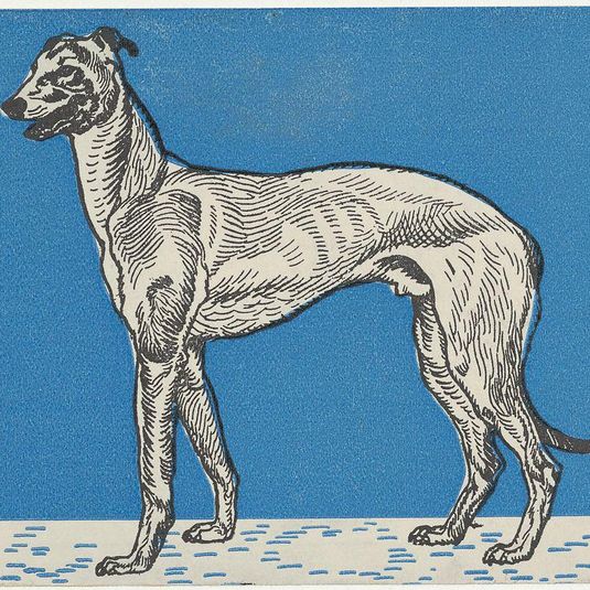 Greyhound