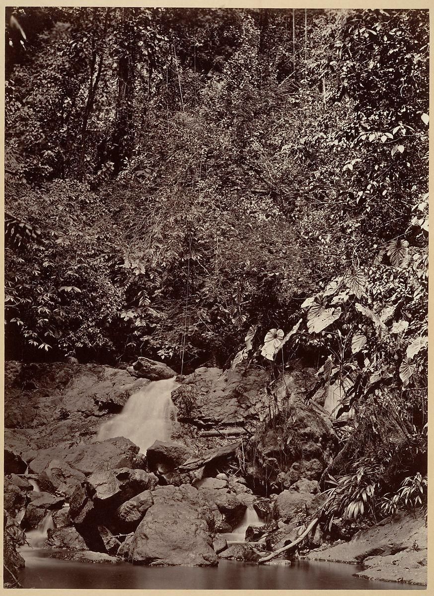 Object Image