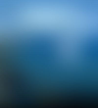 Object Image