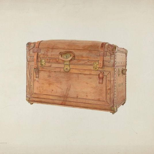 Horse Hide Trunk